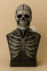 Skull Mask